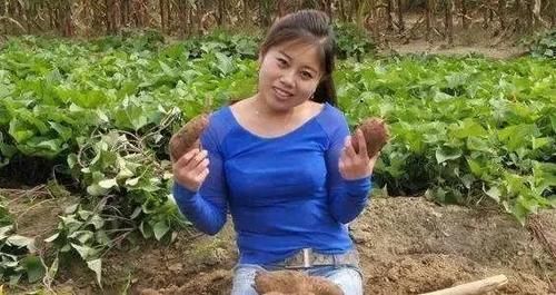 星光大道|她為登上星光大道傾家蕩產，被淘汰后她一怒之下曝光內幕，她是誰？