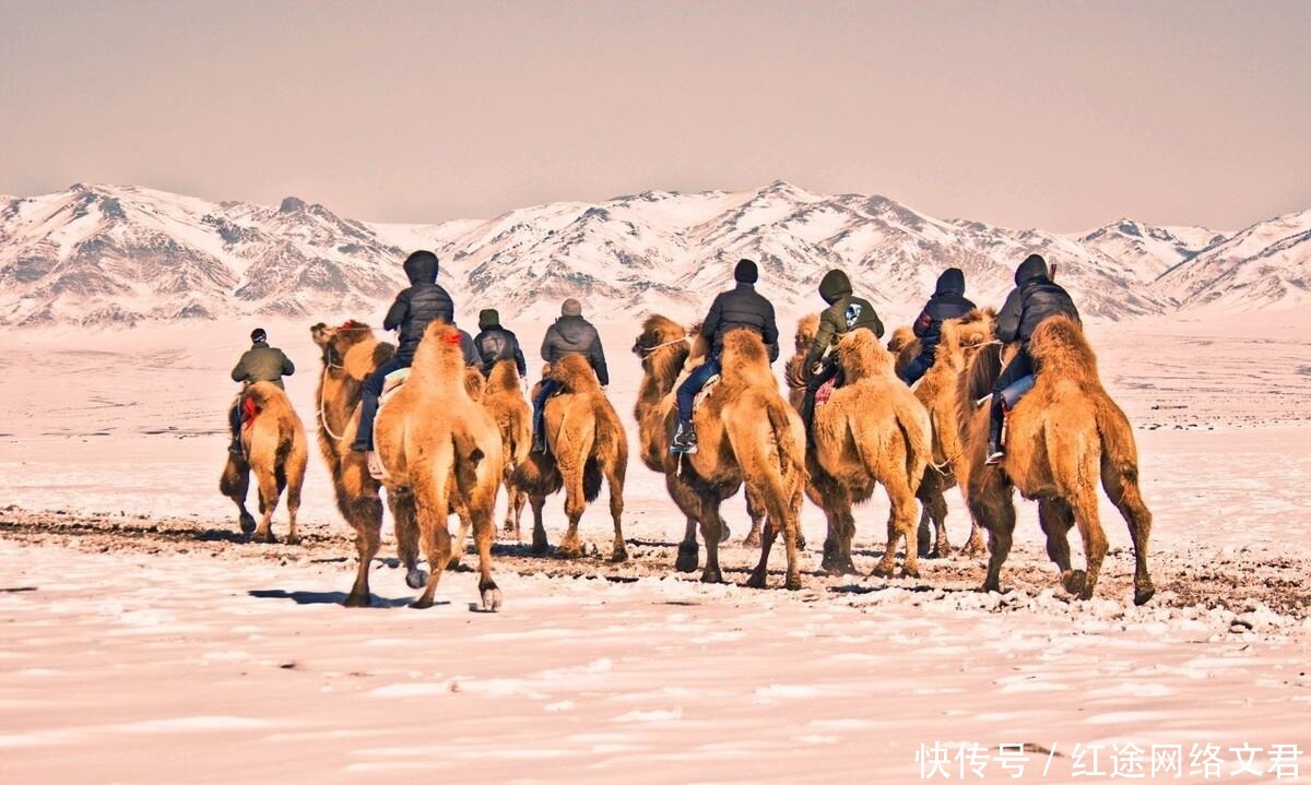  选择|《骆驼祥子》：造成祥子晚景凄凉的不是命运，而是他错误的选择