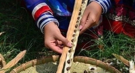 妇科病|有子宫肌瘤的女性，不妨多吃点“它”，帮你清宫毒，远离妇科病