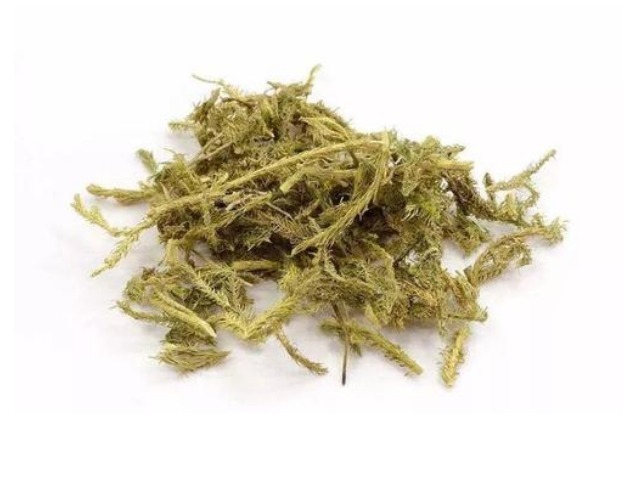 老年人|年龄越大,膝盖老化越严重,中医上的一个热敷法让膝盖多用10年