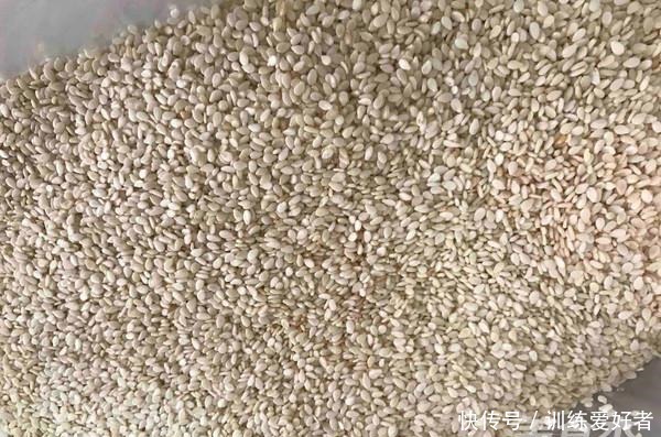 16岁孩子1米8,隔三差五吃它,比喝大骨汤强,长得高身体好!