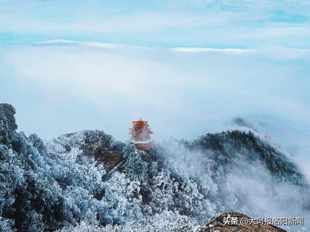 洛阳白云山现雾凇奇观，引游客慕名“打卡”