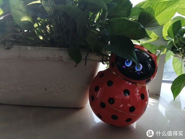 二维码|扒一扒央视大头儿子的智能管家双黄蛋值不值得买