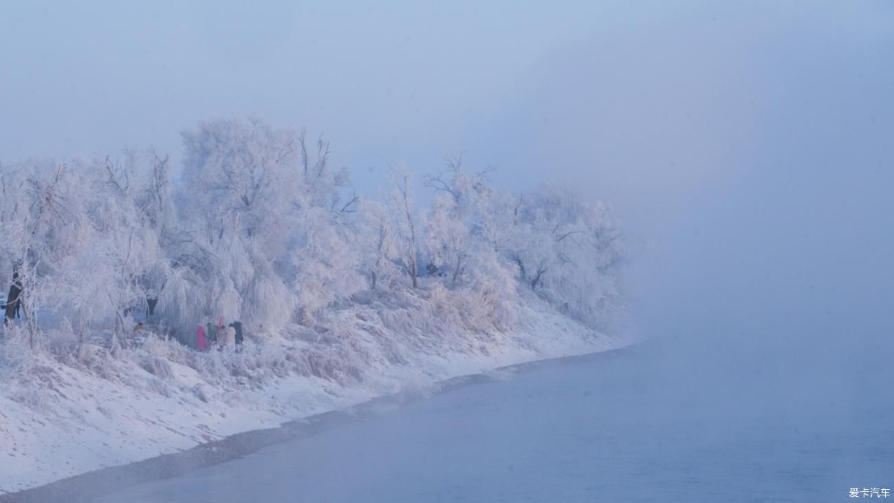 老年|在寂静雪原 遇见雪花真实的形状