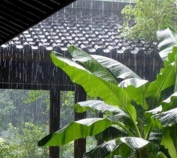 不得志&落榜才子辗转难眠写首词，无一“雨”字句句写雨，成咏雨千古绝唱