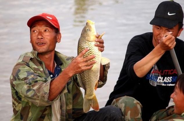 鲤鱼|最有文化味的鱼——鲤鱼，原来古人是这样吃的