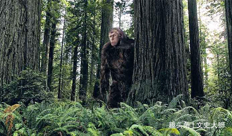 吴廷珍|清代奇事三则,大千世界无奇不有,若非亲眼所见,实令人难以置信