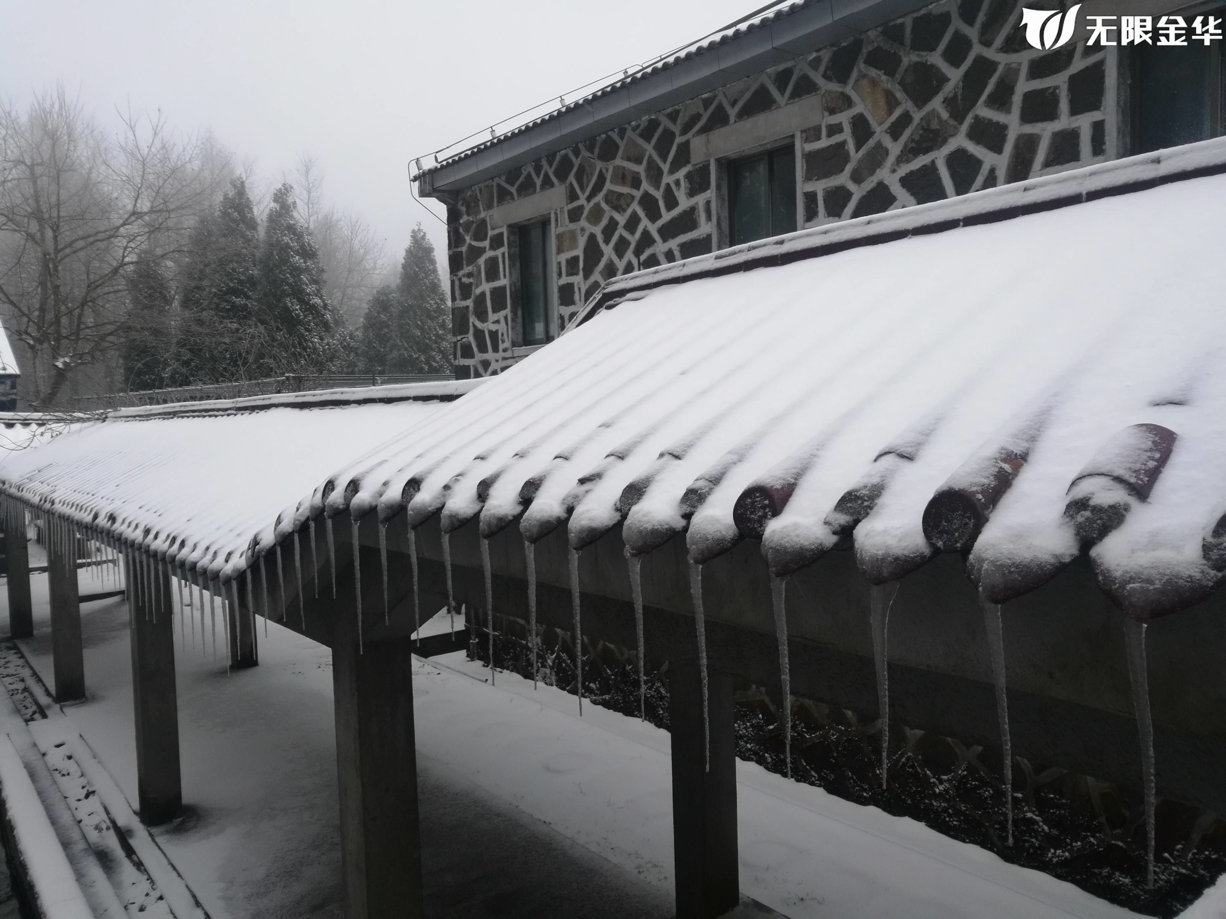 积雪|积雪5厘米！今日北山最鲜雪景来了！