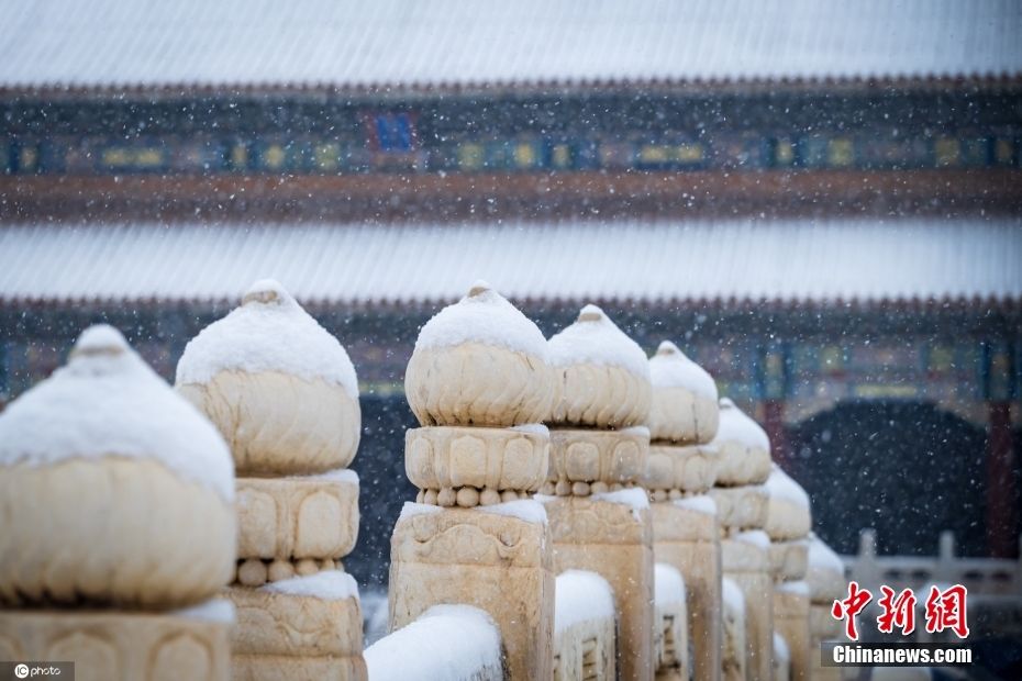 红墙|红墙碧瓦迎春雪 多图欣赏故宫雪中景