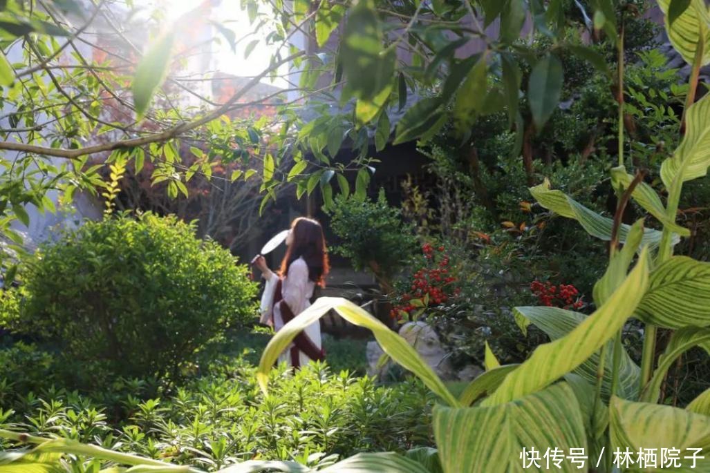 民宿|千年古镇寿昌谱写美丽新篇章 一座老宅成为当地顶级民宿标杆