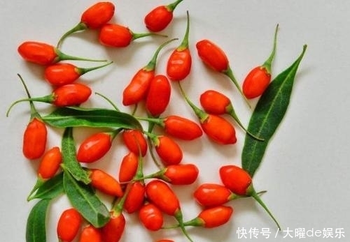 医生再三警告:枸杞不能和它同食,否则会“引祸上身”