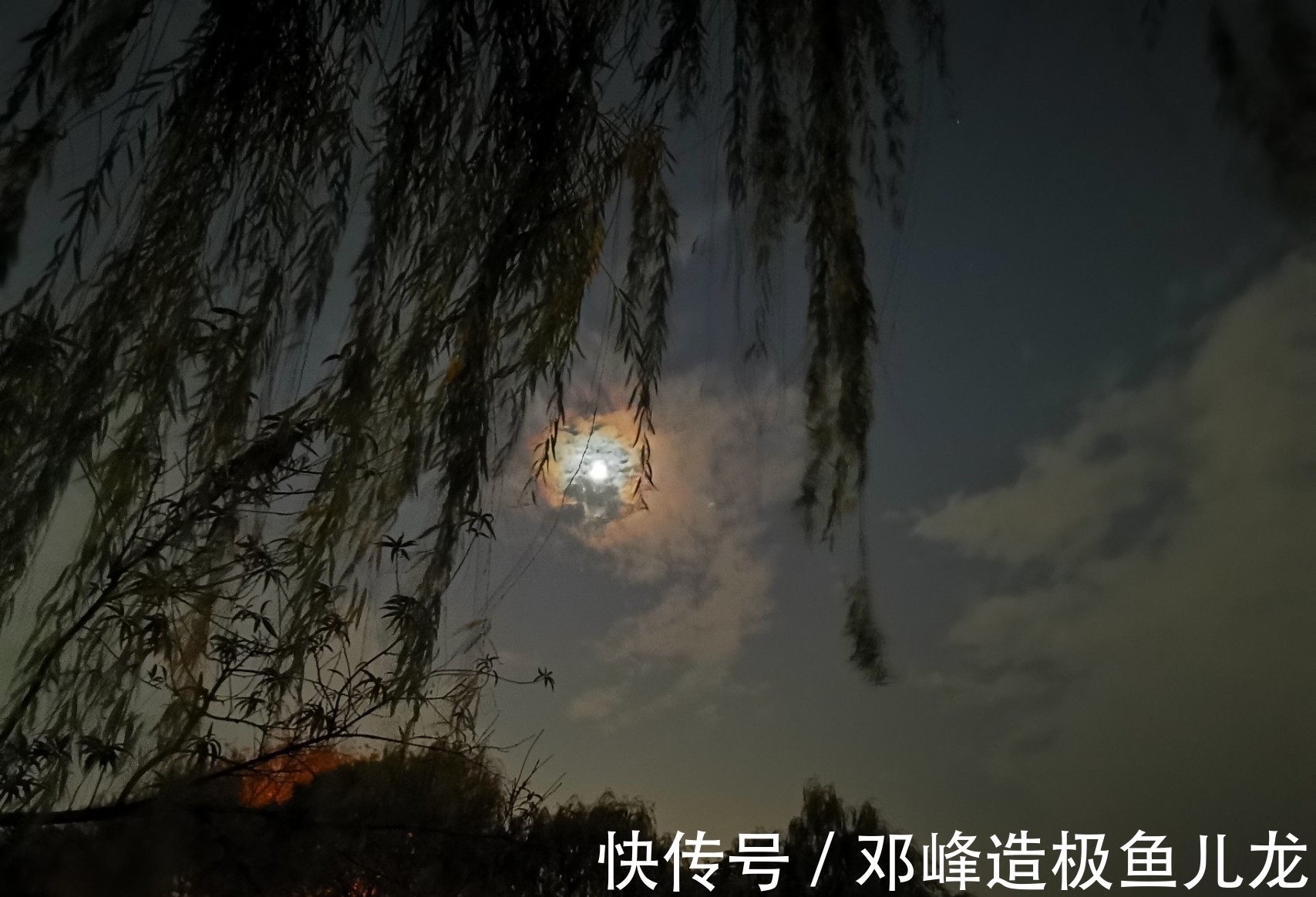 杨柳岸晓风@酒与宋词,飘着酒香的10大宋词排行榜,猜猜都有哪些名篇入榜?