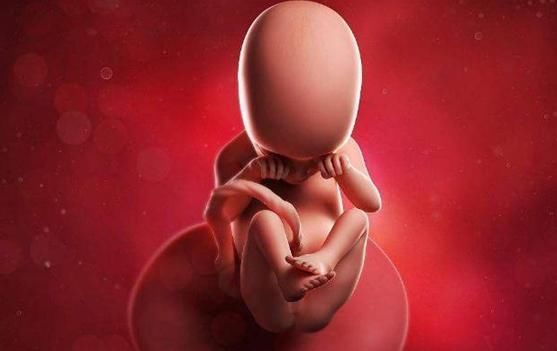 b超|孕检B超四维时胎儿害羞不动,孕妈别着急,8个技巧让孩子活跃配合你