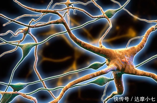 最新智力测试:谁能在30秒内找出这只鹰,说明大脑还算年轻!