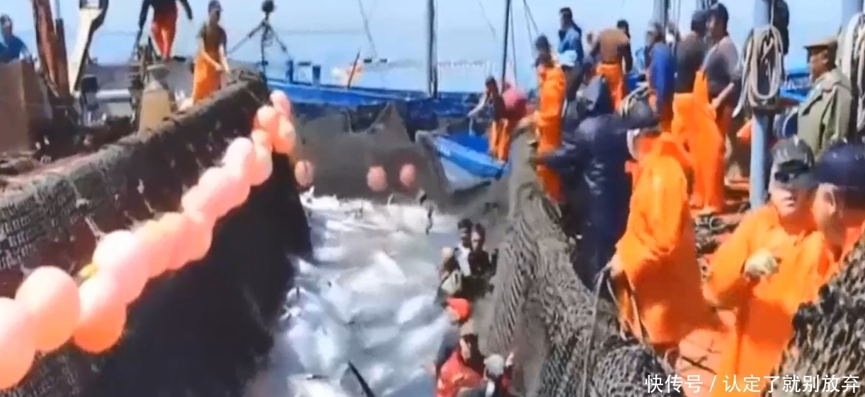 一家日本餐厅极具创意，边吃饭边钓鱼，现实版老人与海