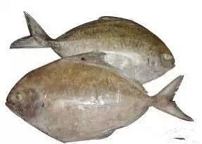 海鲜|渔民整理的海鲜大全,以后再也不怕不认识海鲜了