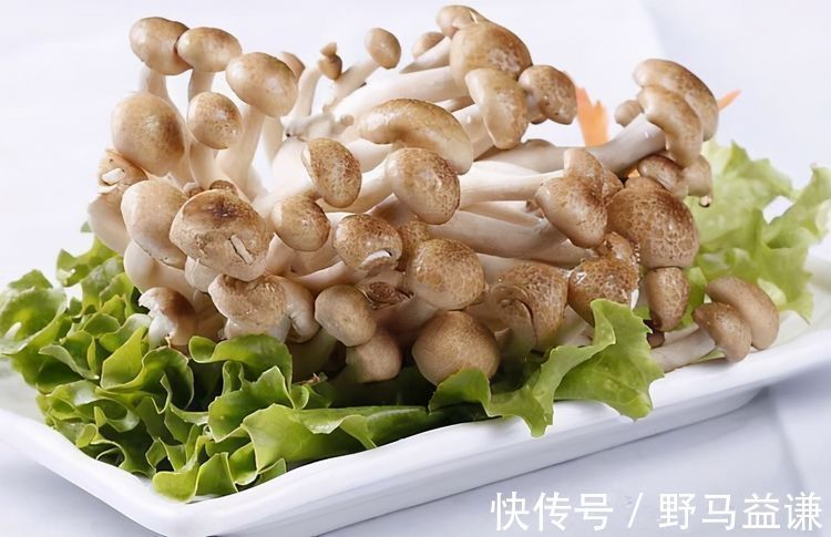 通便|女性想要身体好，多吃3种食物，排出湿气、润肠通便，帮助消水肿