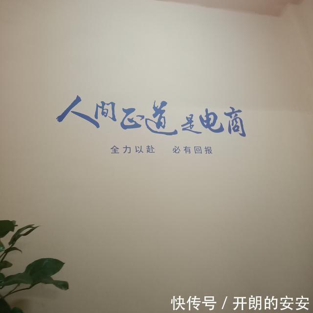 电商|欧美为何“冷落”电商原因不止担忧冲击实体店