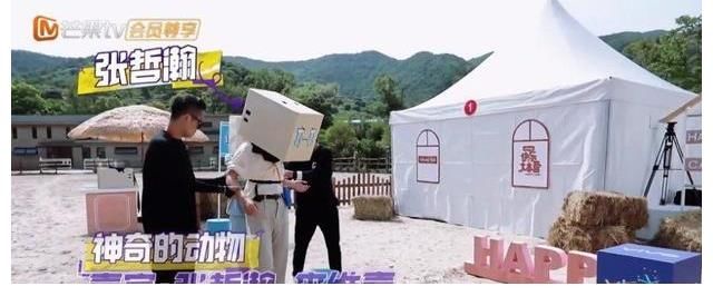 兄弟情|兄弟情翻车!张哲瀚竟认不出好兄弟龚俊