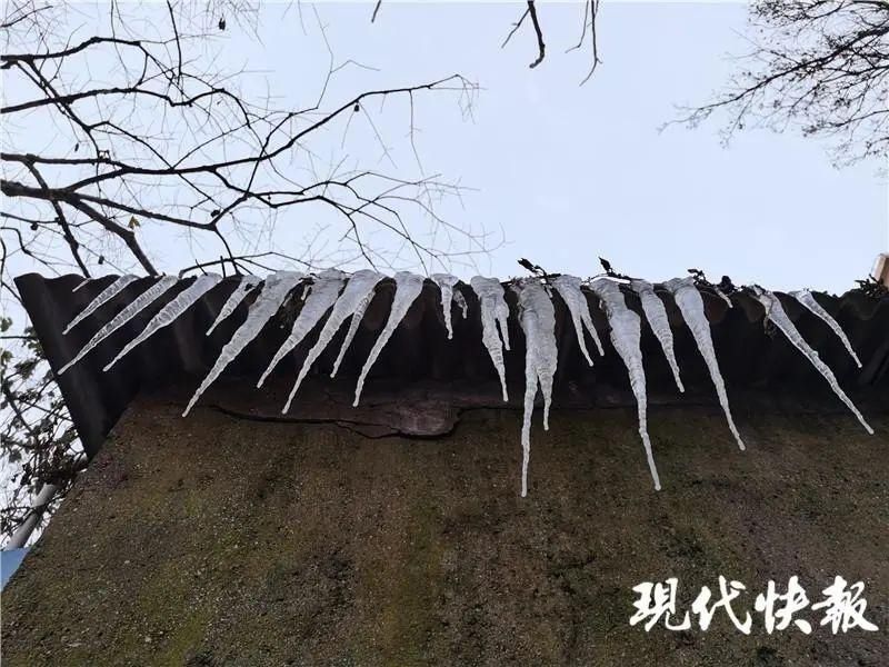  白花花|下雪了！福建真的下雪了！白花花一片……