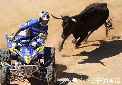 |幽默段子:追女主管半年,她不同意,一次公司安排职工体检后…