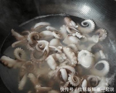 不动|为什么八爪鱼太硬咬不动老板不是鱼的问题,是你的做法错啦!