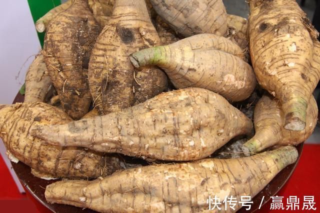 治療|頸椎病頭暈怎么辦？試試這三招，7-15天治療頸椎痛