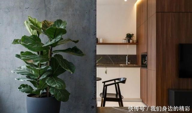 空间感|乌克兰39㎡的小家,一厅一卧一人住太舒服了,忍不住晒晒!