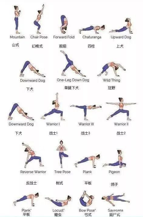 练习者|如何晨起偷偷变美?瑜伽高手都爱的6套流瑜伽序列,快拿去收藏!