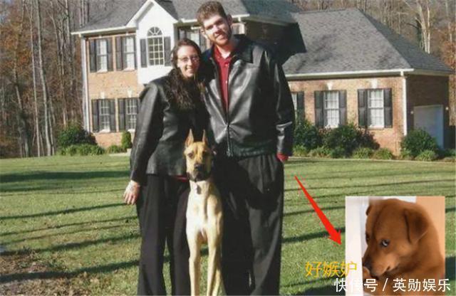 肥胖|当年一出生就轰动美国的“巨婴”，体重高达14.5斤，现状如何