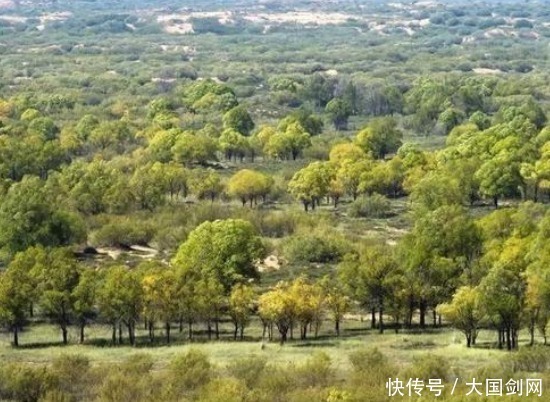 最新研究结果出炉,专家发现大大低估了中国,这一领域中国是主力