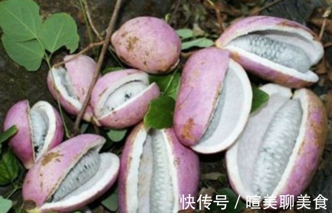 八月瓜|女性不想肚子鼓鼓，可常吃此果，腰不痛，腿不酸，子宫越来越干净