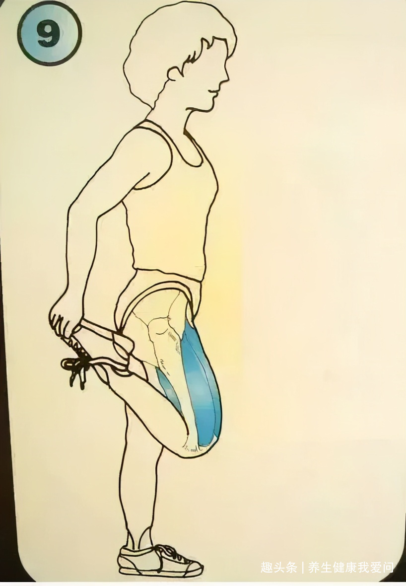 紧绷|一个最全养生拉筋动作,每天只需十分钟,筋长一寸寿延十年!