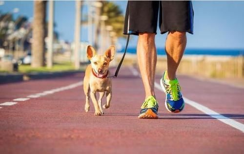 体质|老年人走路,若没有这3种现象,说明你的体质不错