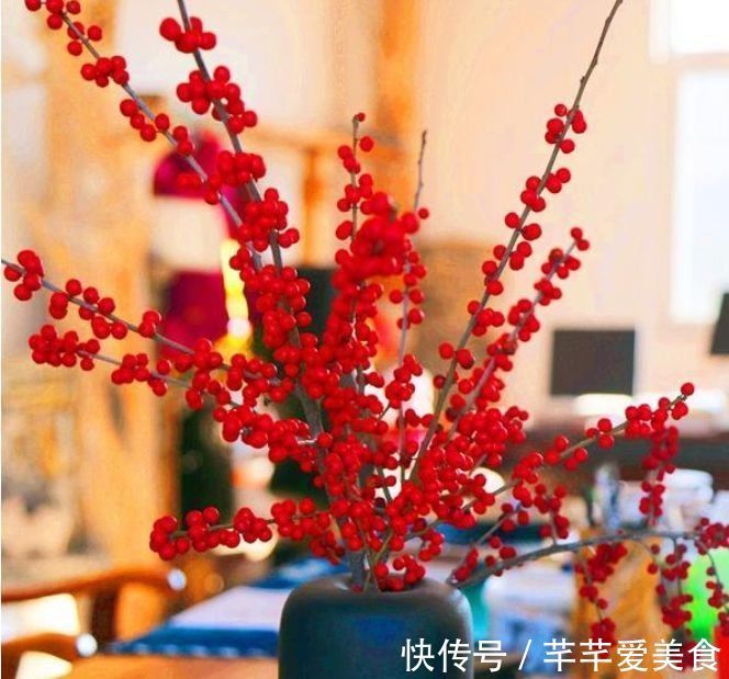 适合庭院养护的花卉,花姿妖娆,花开香飘溢满屋,一年四季都赏花