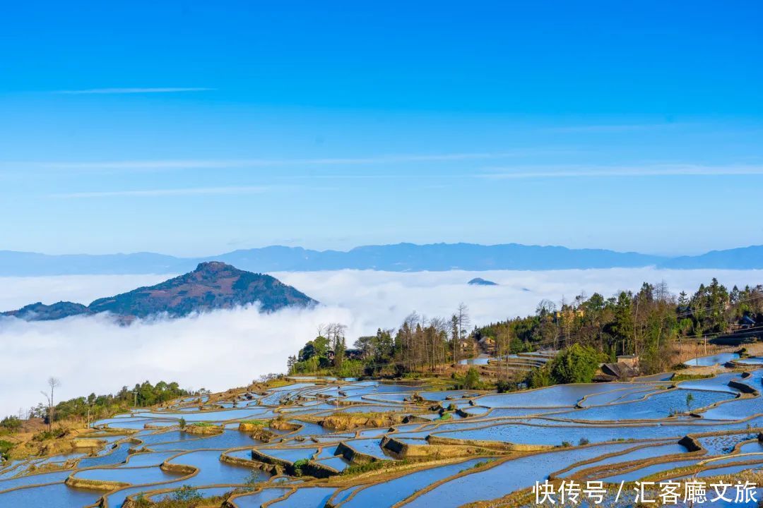 荷花|20000亩荷花竞相绽放，云南这个鲜有人知的秘境，美爆夏天！