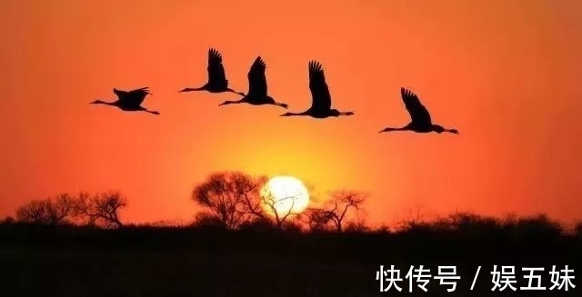 清风|如何抵挡夏日酷热?北宋最狂诗人两首经典,包含大爱,感动又佩服