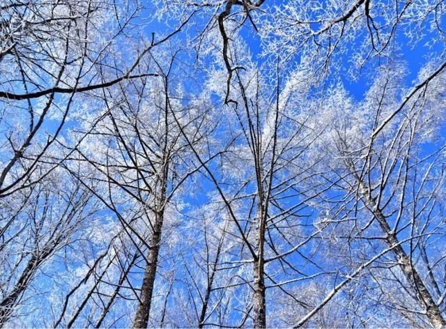 冬日|高清美图｜蒙山又飘起了雪花，最美冬日地图上线