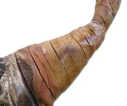 日本人评出“不想不敢吃”的5大中国菜,在中国卖出“天价”