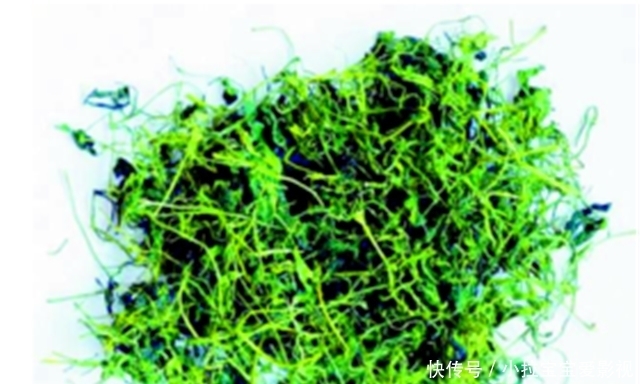 茶叶|小茶叶也能加工成大美学,清朝“茶叶之美”为何能盛行?