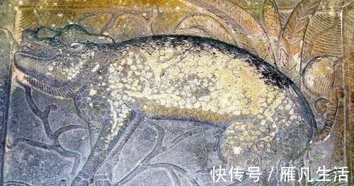 缙云山|全国唯一不供佛祖的佛寺却被帝王尊崇1600年门票0元少有人知