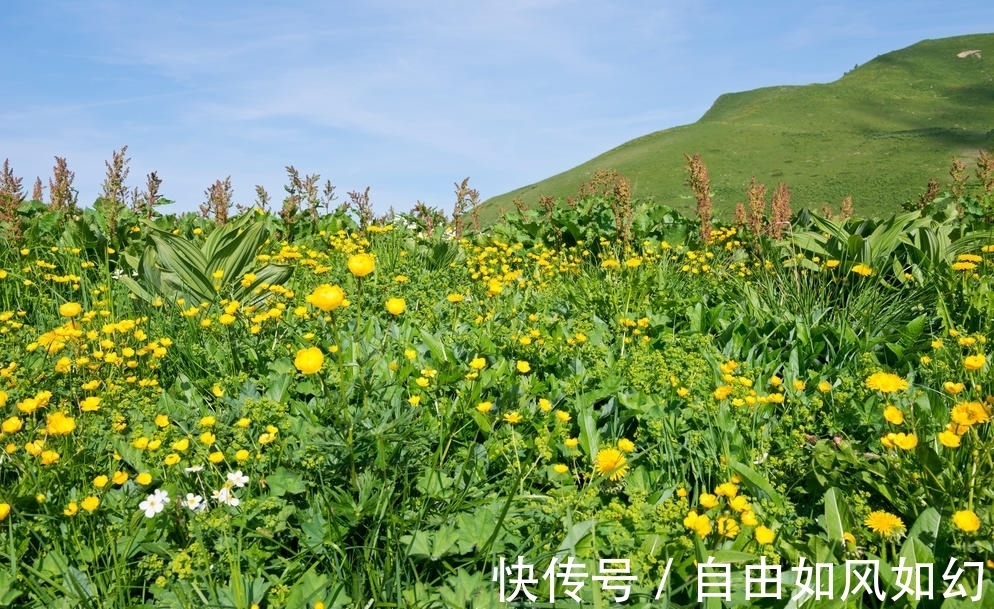 春夏秋冬@七绝·春夏秋冬四时歌