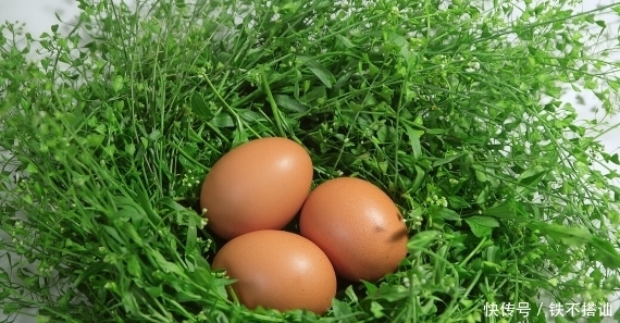 三月就吃这菜,价格便宜不说,味道还很好