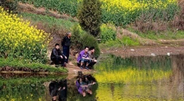 温差|春钓时,每天这两个时间段钓鱼都是连竿,许多钓友竟然还在睡觉