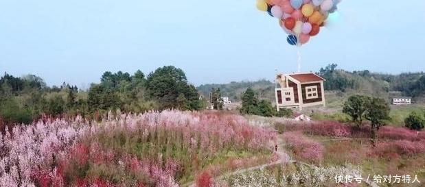 人红是非多,《向往的生活5》 收视率攀升的同时,闲言闲语也来了