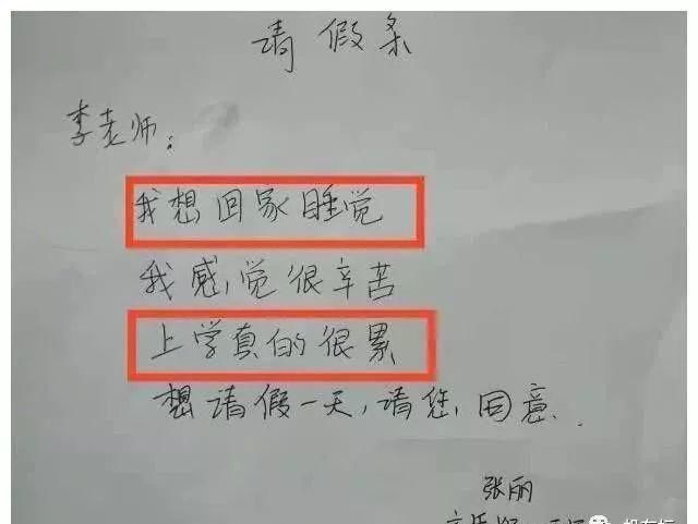 走红|小学生的请假条走红，老师看后感慨自叹不如，父母却气得直跺脚