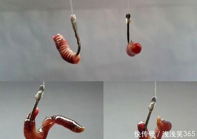 真知|钓鱼时到底该不该露钩别争论了，实践才能出真知