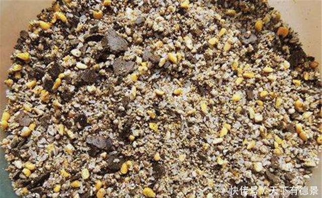 春天钓鲫鱼，好用的窝料和饵料配方，饵料对了口，渔获不用愁