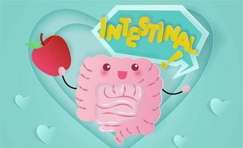 肠道有问题？日常养成3个好习惯，肠道会变好
