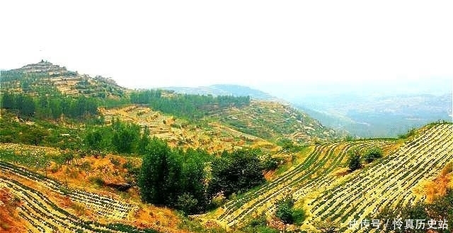 部下|张灵甫在部下心中的口碑如何?50年后,一位老兵用十六个字评价他